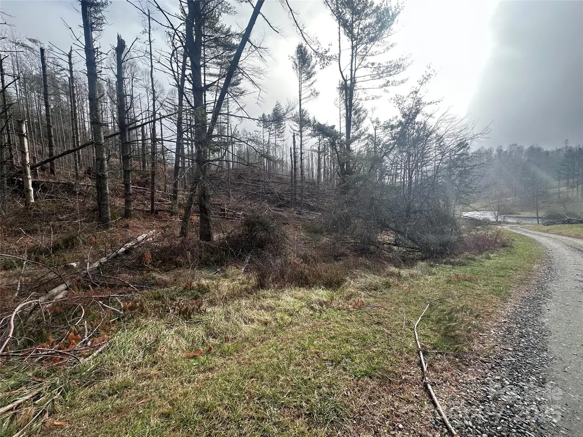 99999 White Pine Lane, Bakersville, NC 28705 - Image #1