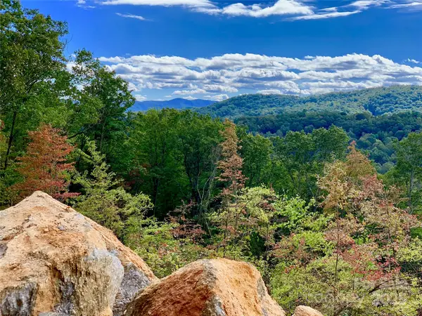 00 Curtain Bluff #w9, Hendersonville, NC 28791