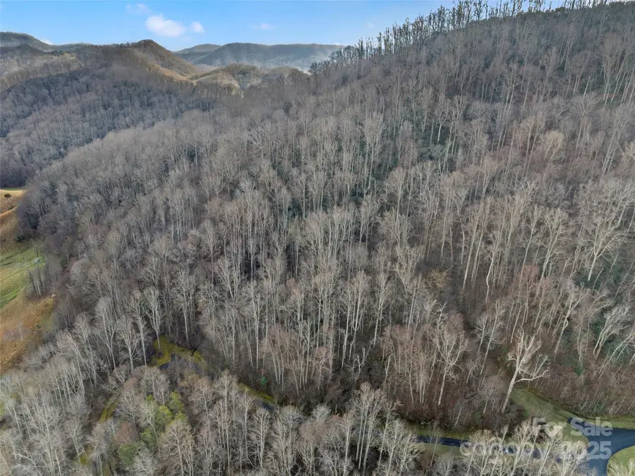 534 Kendal Drive #20, Leicester, NC 28748 - Image #2