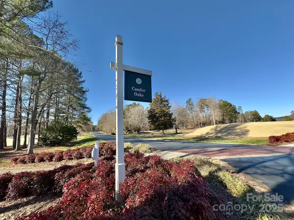 118 Candor Oaks Drive, New London, NC 28127