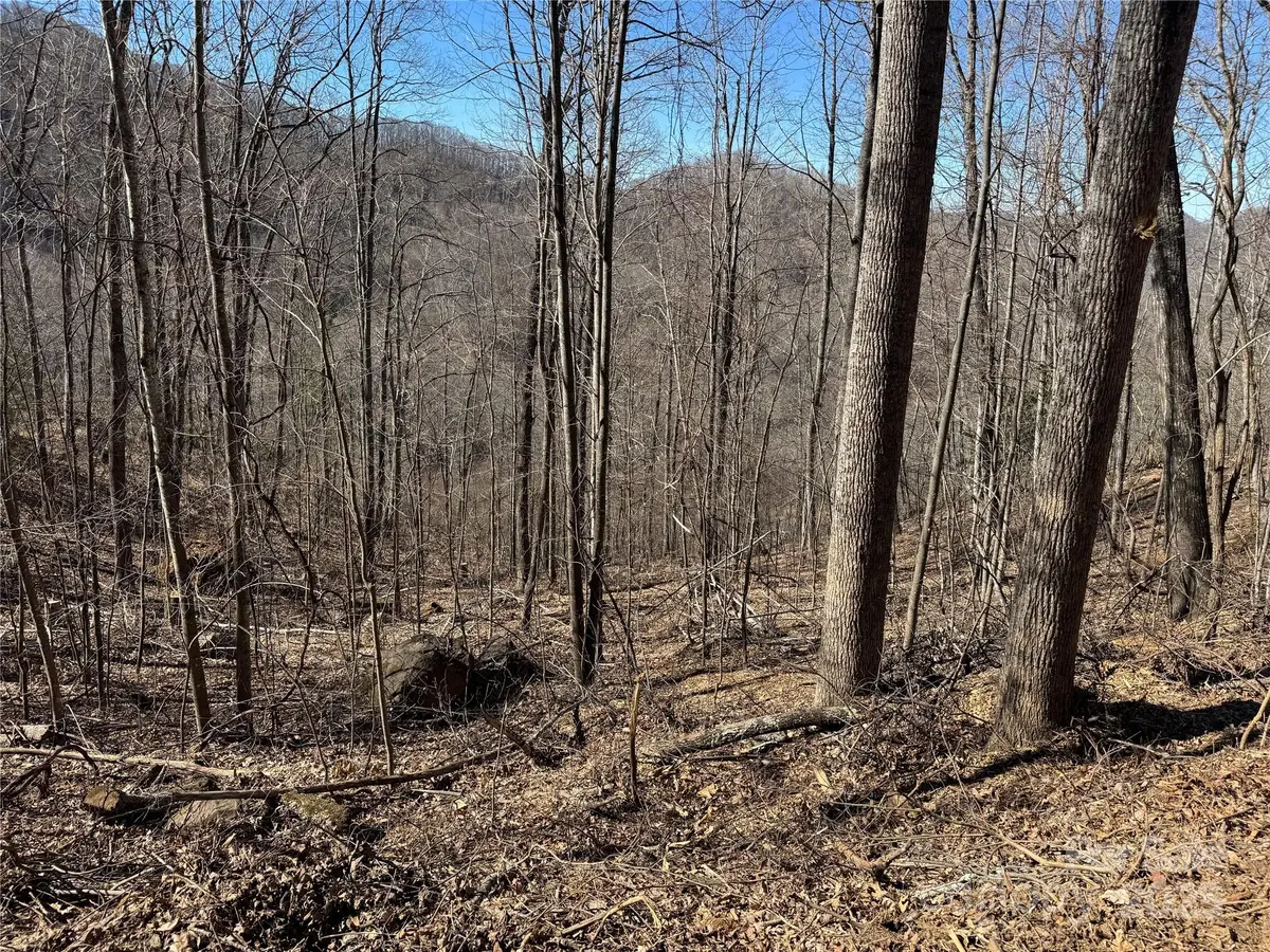Lot 25 Andrew Banks Road, Burnsville, NC 28714 - Image #1