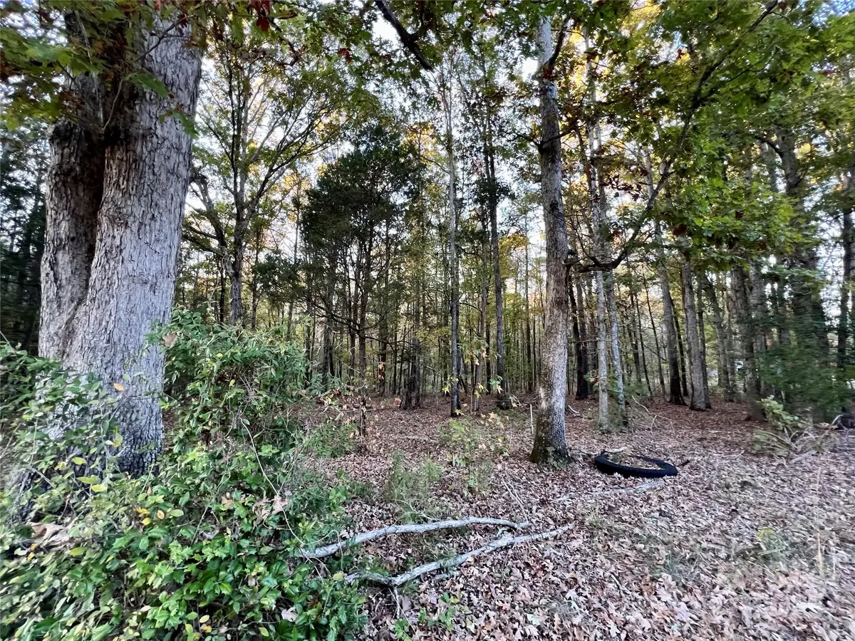 00 Charlotte Highway, Lancaster, SC 29720 - #1