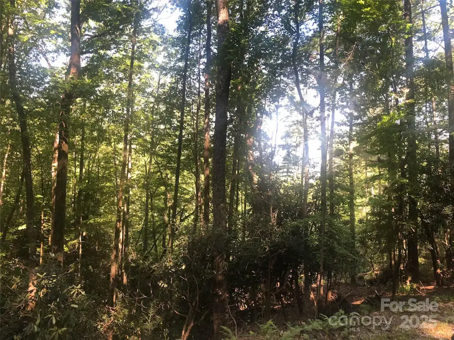 TBD Peppervine Circle #94, Rosman, NC 28772 - Image #2