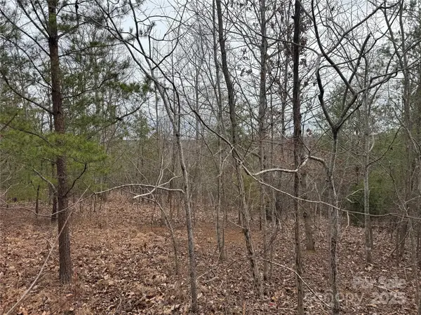 00 Stonecrest Parkway, Mill Spring, NC 28756