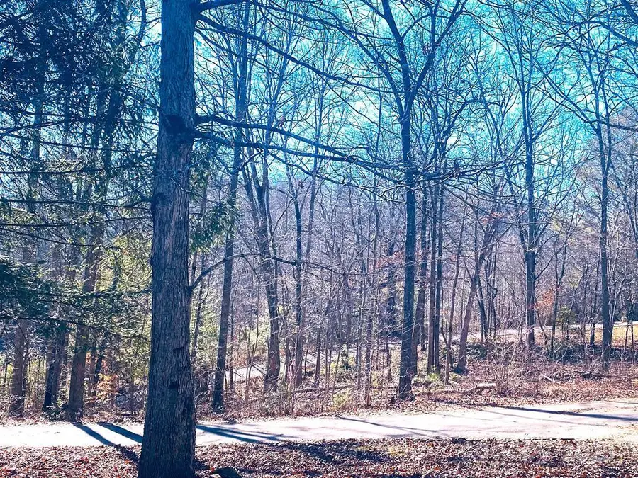 7366 Martins Creek Road, Murphy, NC 28906 - Image #3