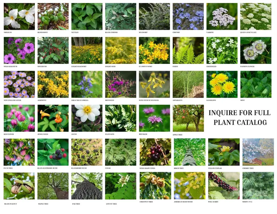 340 Wendy Avenue, Marshall, NC 28753 - Image #3