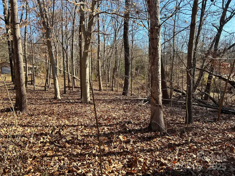 00 Walker Branch Road, Lincolnton, NC 28092 - Image #3