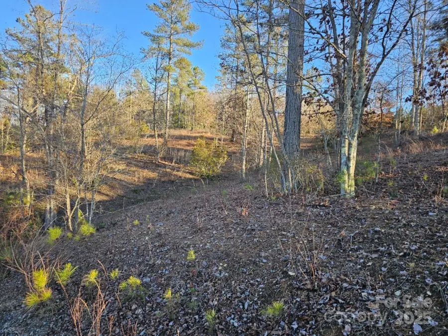 2167 Inlet Shore Road Ne, Connelly Springs, NC 28612 - Image #3