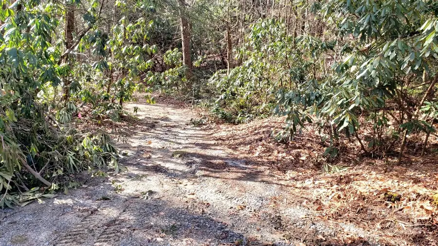 9999 Poplar Lane #505,506,507, Brevard, NC 28712 - Image #2