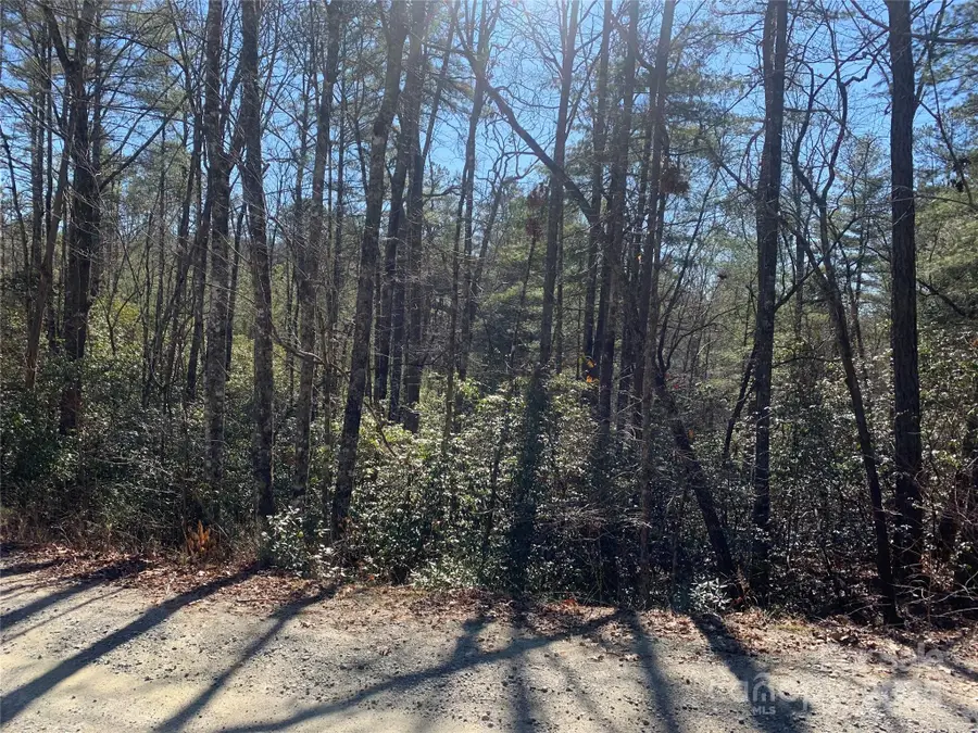 TBD Oak Laurel Road #9, Brevard, NC 28712 - Image #2