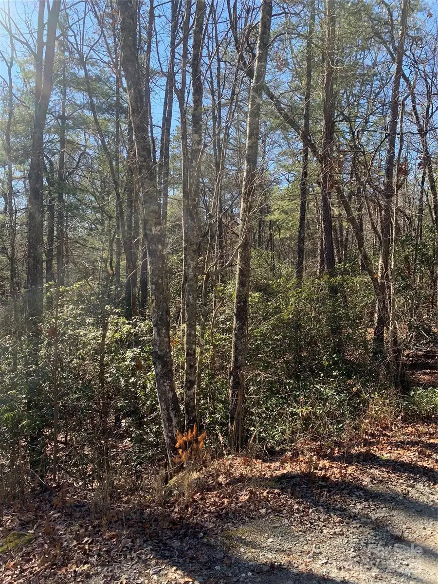 TBD Oak Laurel Road #9, Brevard, NC 28712 - Image #3