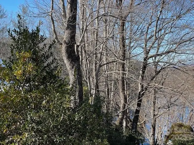 U6/L45 Ottaray Court, Brevard, NC 28712 - Image #2