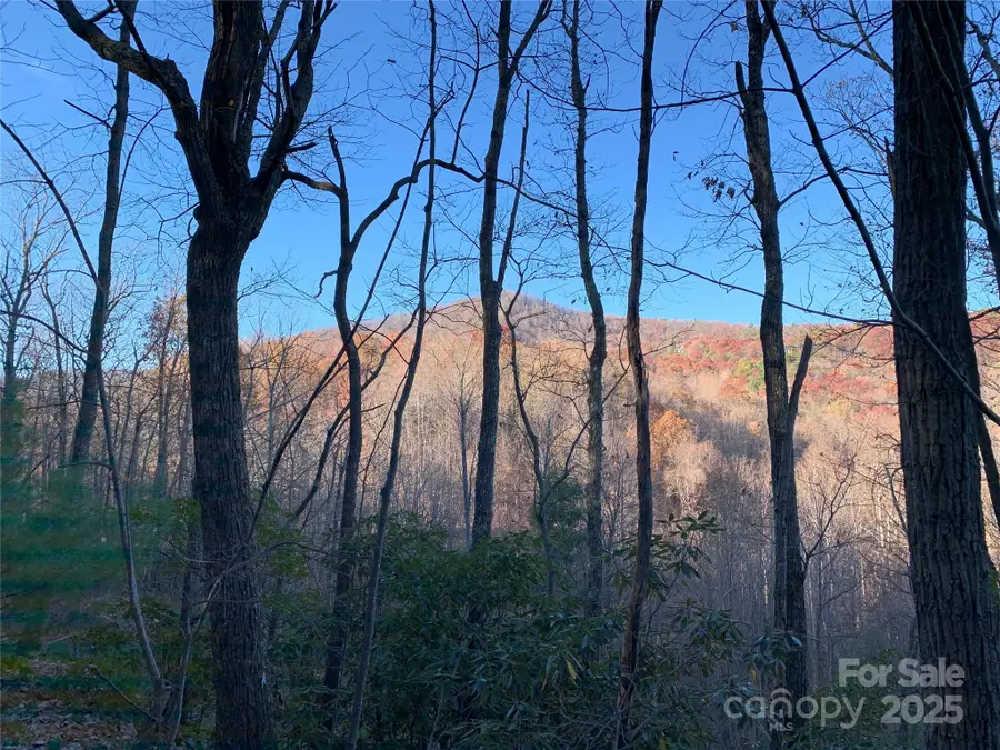 TBD (Lot 19) Wolf Den Lane, Lenoir, NC 28645 - Image #3