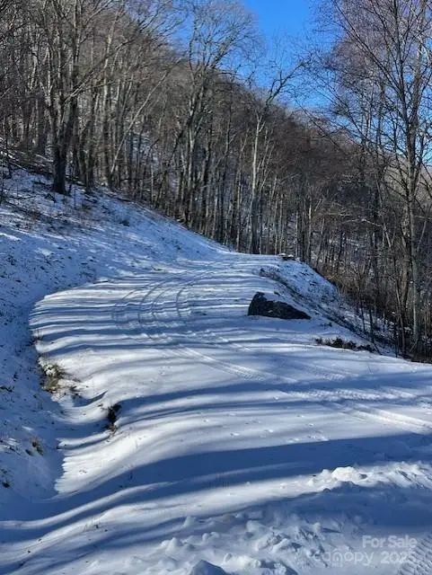 00 Wandering Trail #98, Waynesville, NC 28785 - Image #1