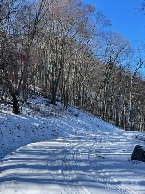 00 Wandering Trail #98, Waynesville, NC 28785 - Image #3