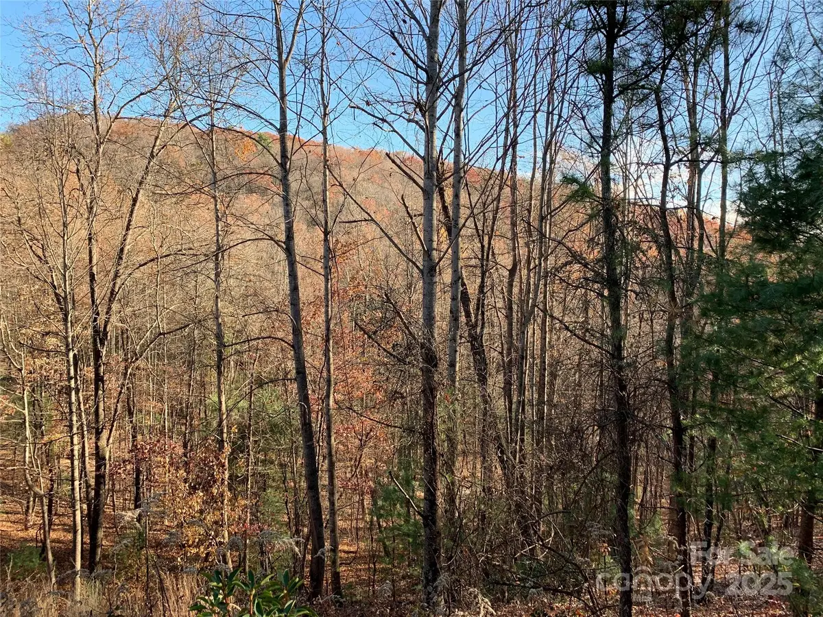 TBD (Lot 4) Wolf Den Lane, Lenoir, NC 28645 - Image #1