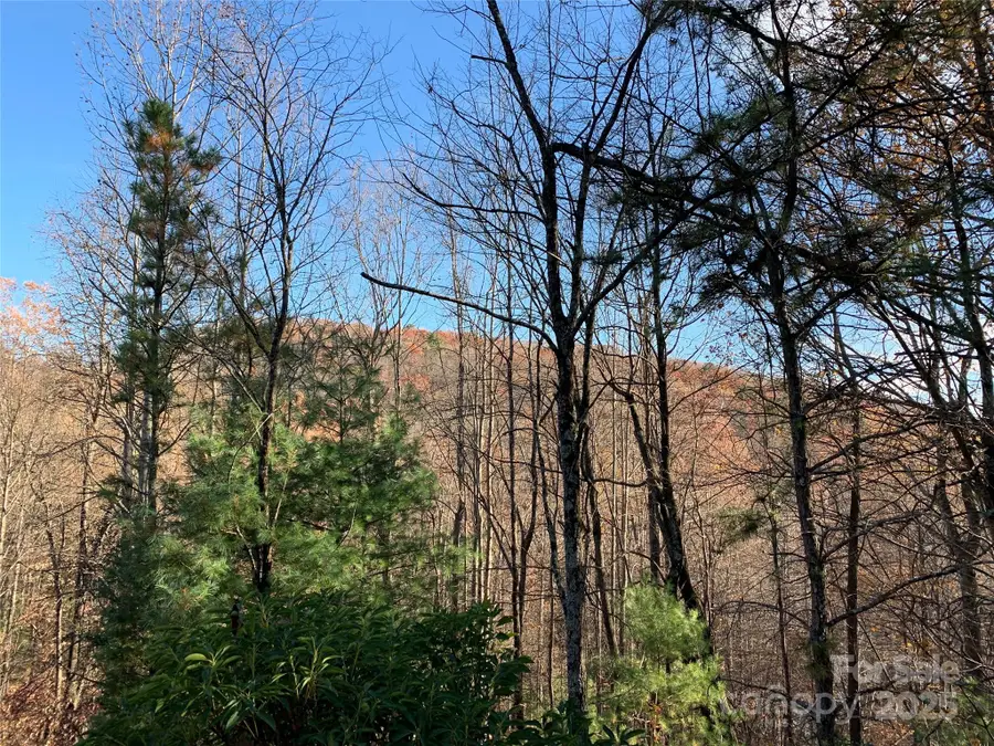 TBD (Lot 4) Wolf Den Lane, Lenoir, NC 28645 - Image #3