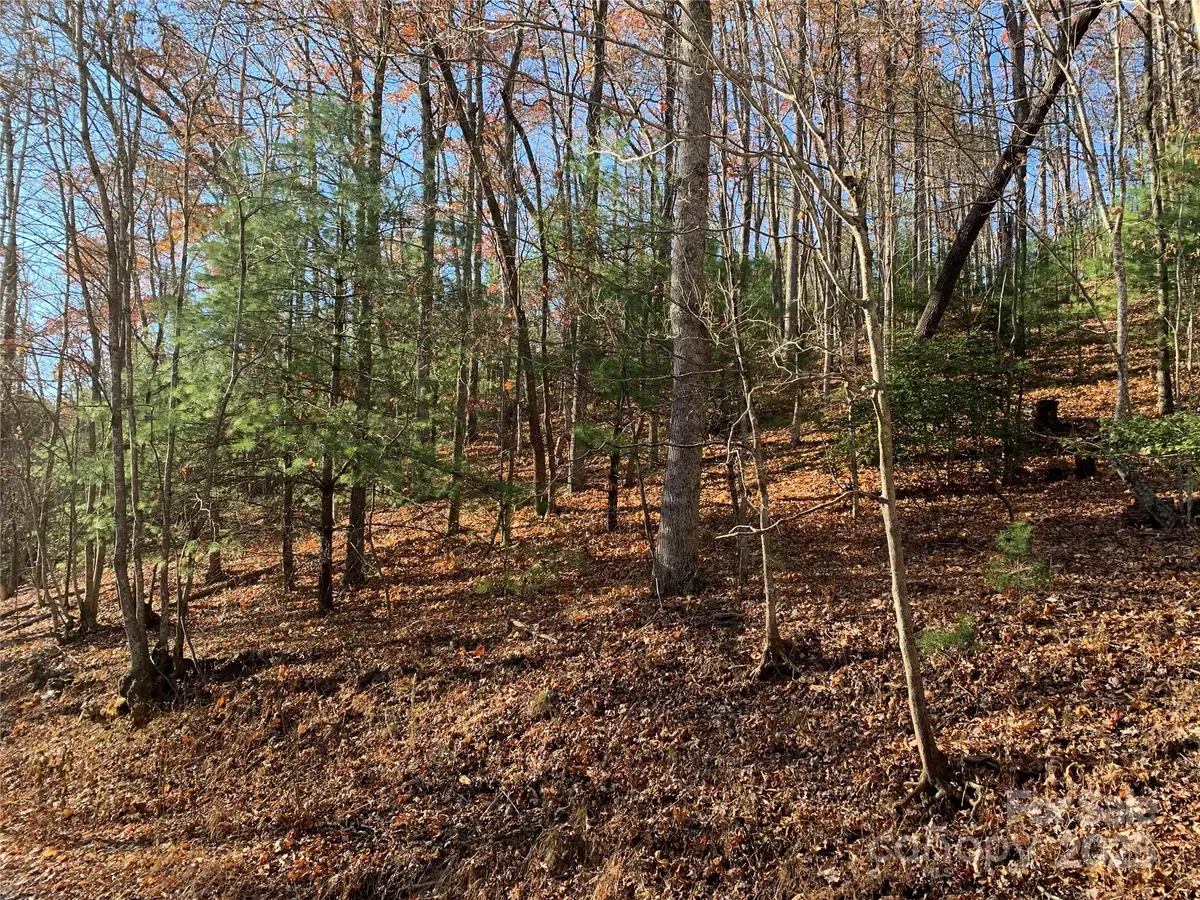 TBD (Lot 1) Dugger Firetower Road, Lenoir, NC 28645 - Image #1