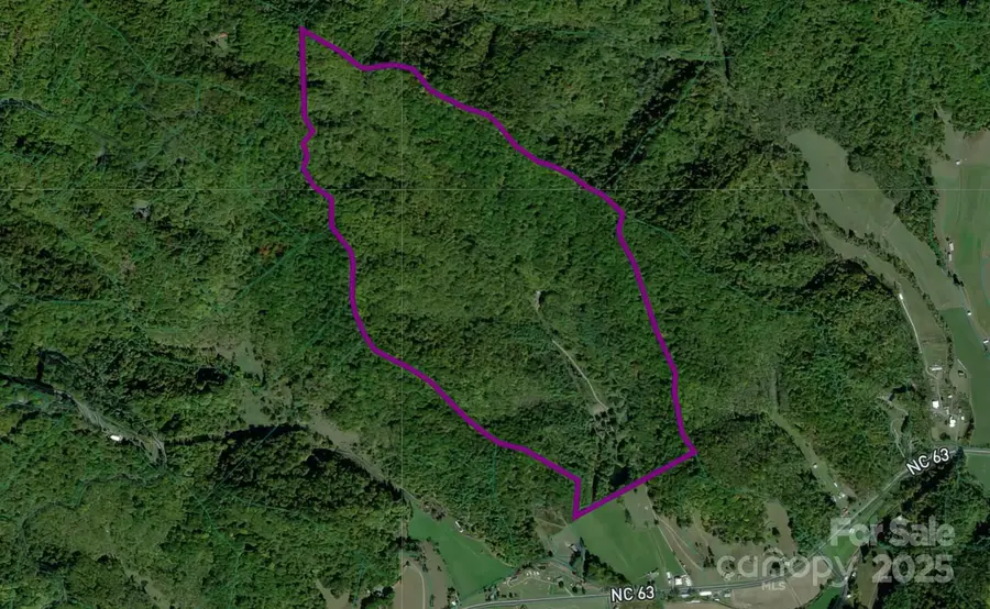 8749 Nc 63 Highway, Leicester, NC 28748 - Image #2