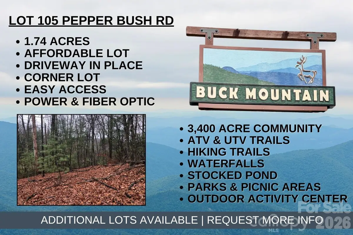 TBD Pepper Bush Road #105, Purlear, NC 28665 - Image #1
