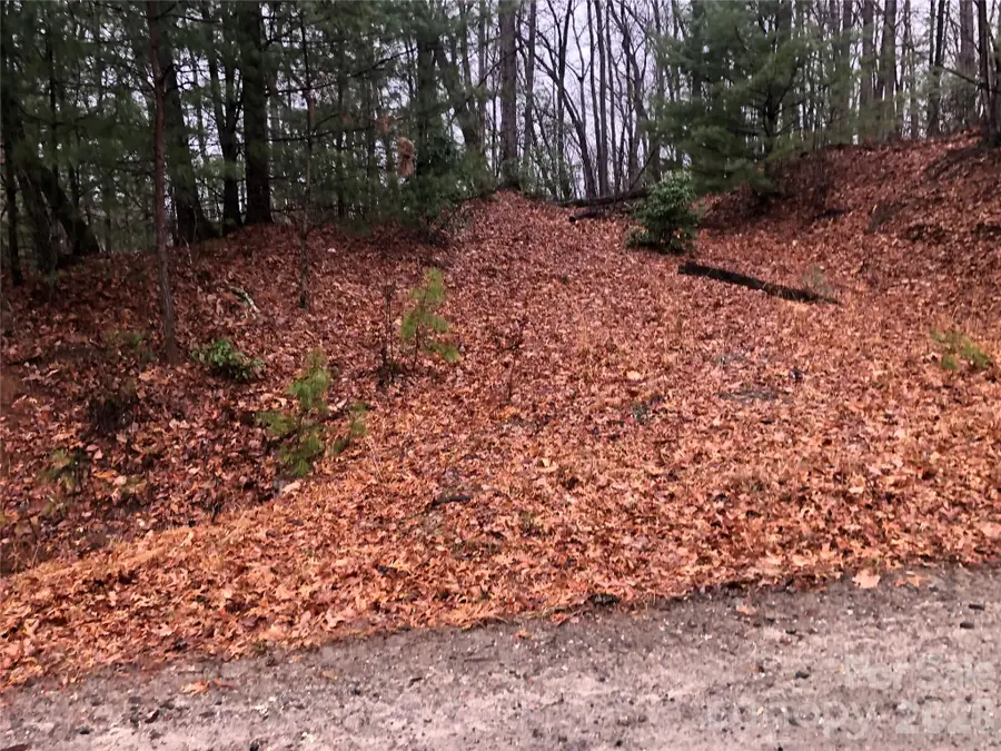 TBD Pepper Bush Road #105, Purlear, NC 28665 - Image #3