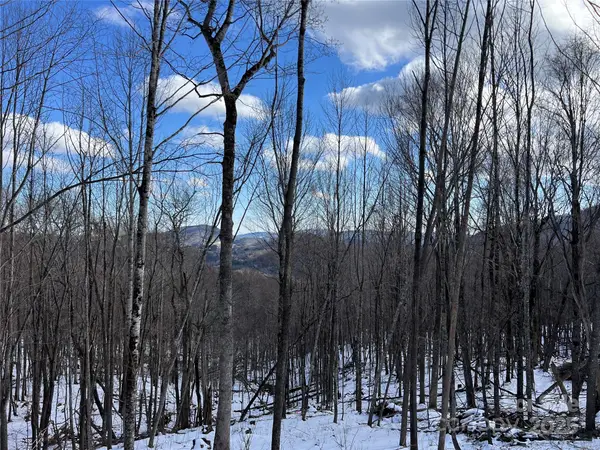 TBD (Lot 69) Poplar Forest Drive, Boone, NC 28607