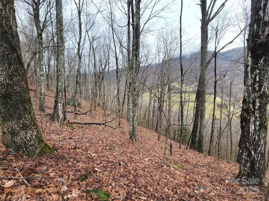 820 Chestnut Flats Lane #4, Waynesville, NC 28786 - Image #2