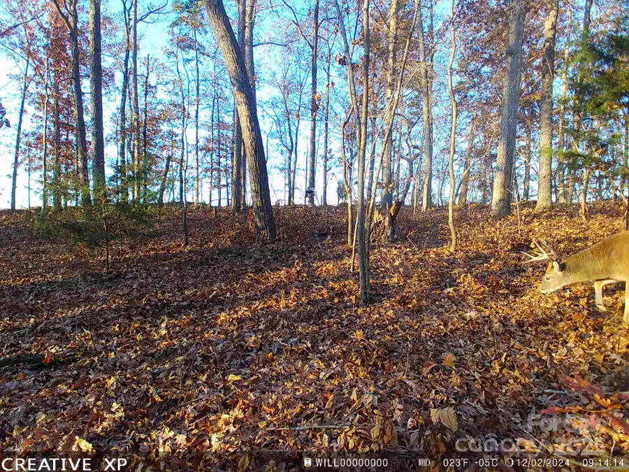 7210 Mission Road, Mount Pleasant, NC 28124 - Image #2