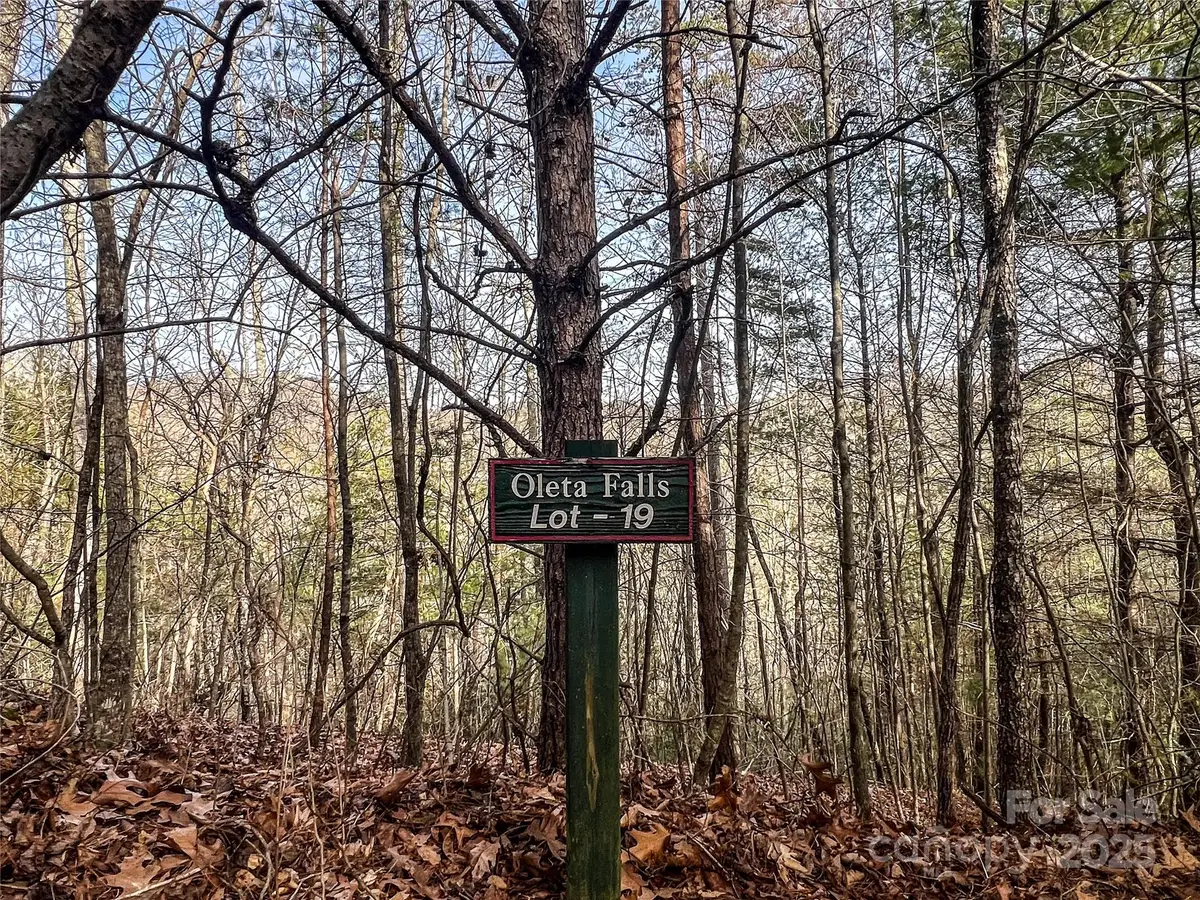 0000 Stepp Ridge Court, Hendersonville, NC 28792 - Image #1