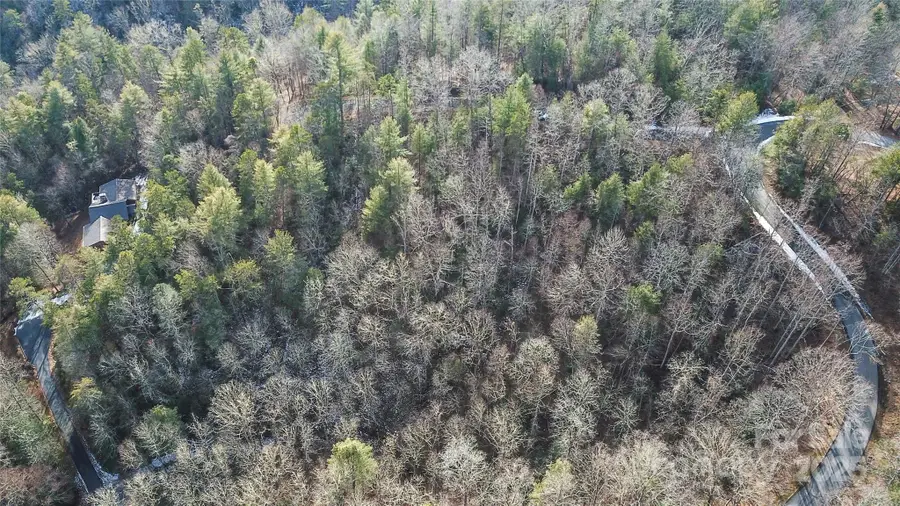 0000 Stepp Ridge Court, Hendersonville, NC 28792 - Image #3