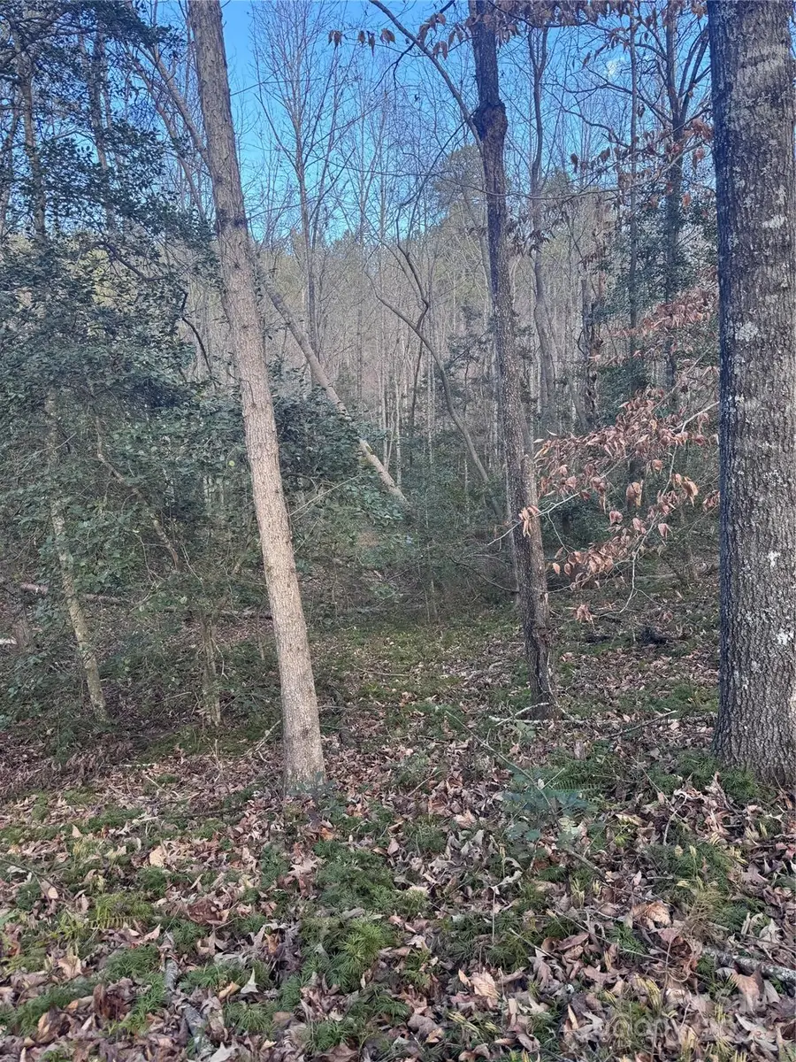 0 Hearthstone Drive #70, Union Mills, NC 28167 - Image #2