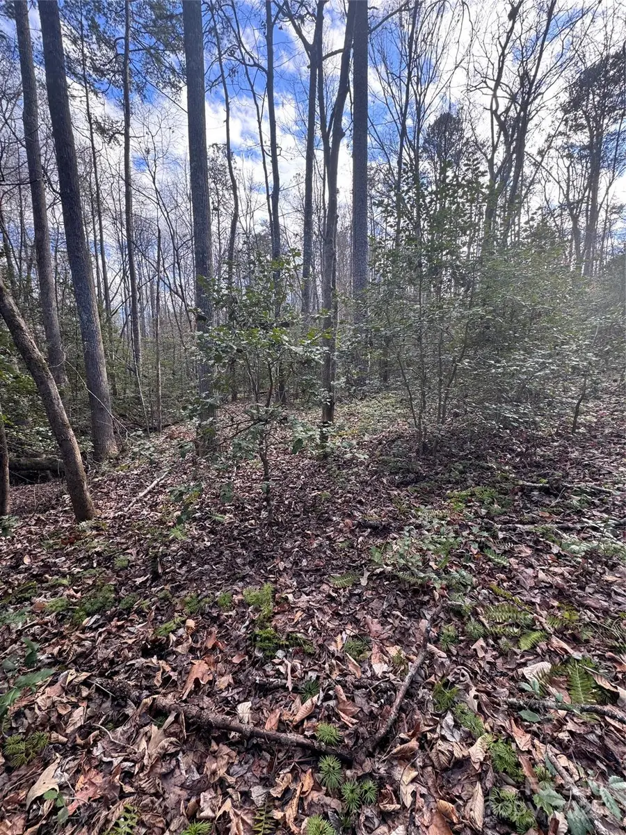 0 Hearthstone Drive #70, Union Mills, NC 28167 - Image #3