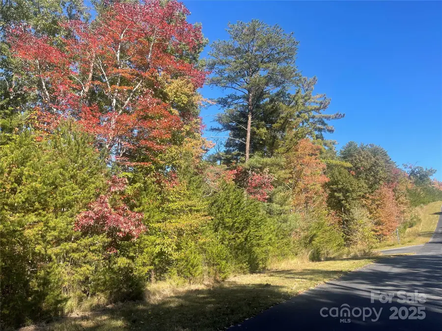 lot 46 Bald Eagle Lane #46, Marion, NC 28752 - Image #3