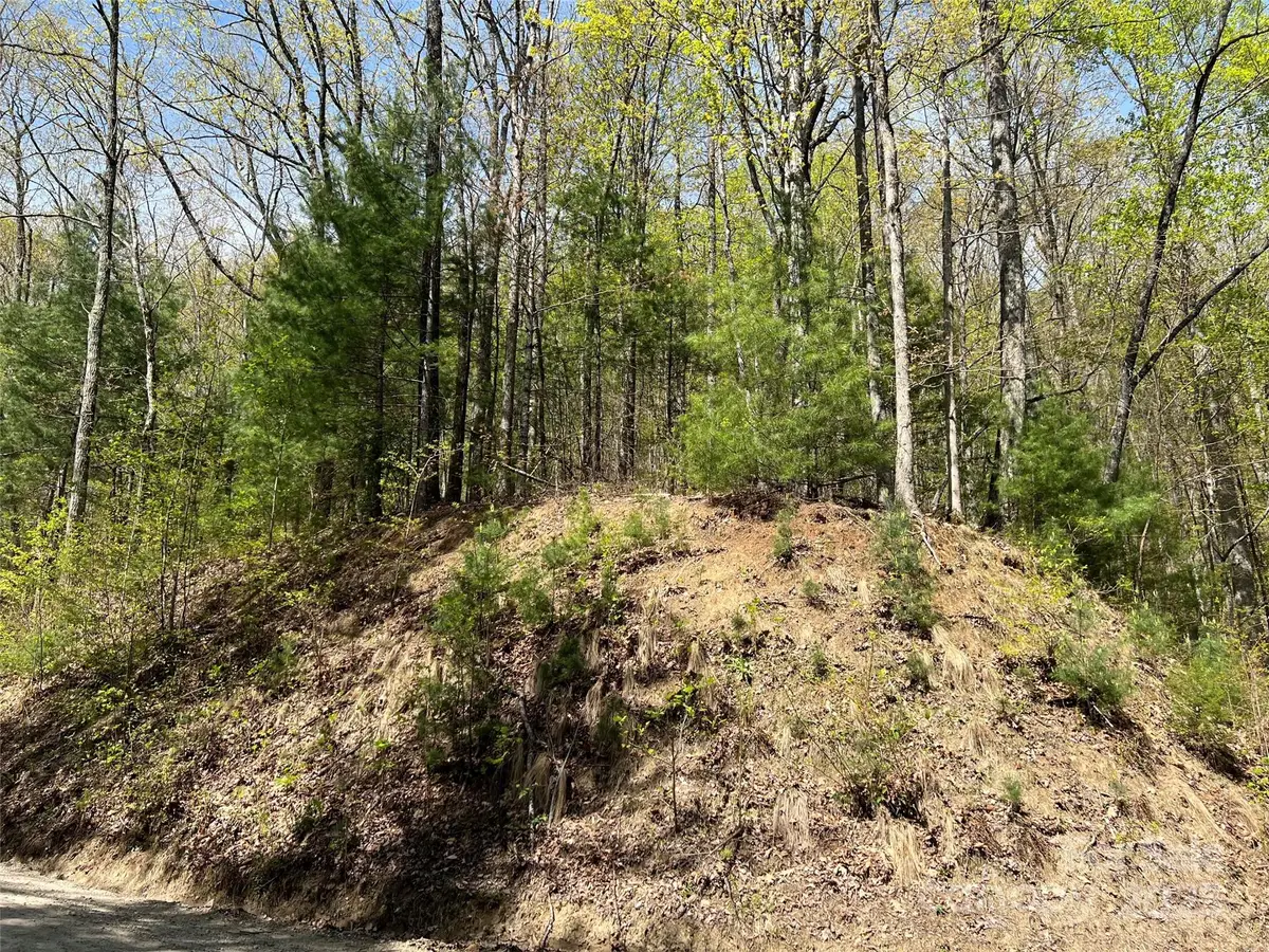 00 Hidden Trail, Franklin, NC 28734 - Image #1