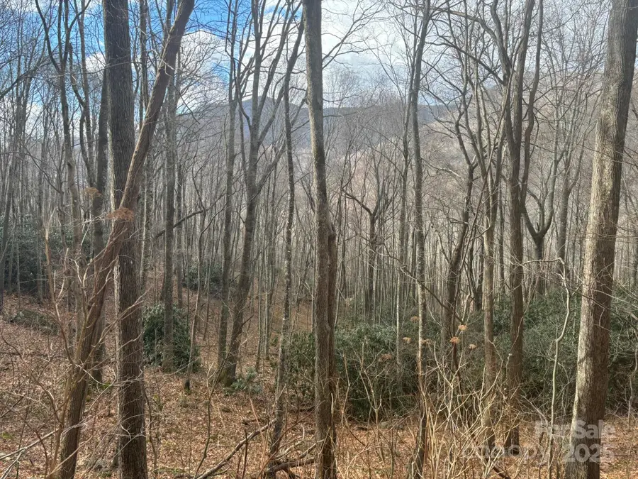 68 Grouse Road #68, Clyde, NC 28721 - #2