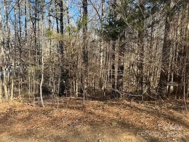 00 Southwinds Court #24, Rock Hill, SC 29730 - #2