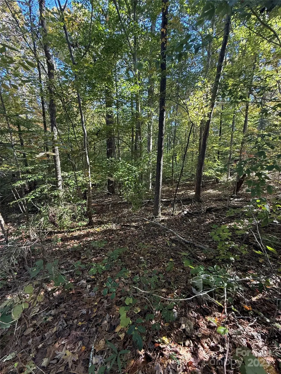 00 Southwinds Court #24, Rock Hill, SC 29730 - #3