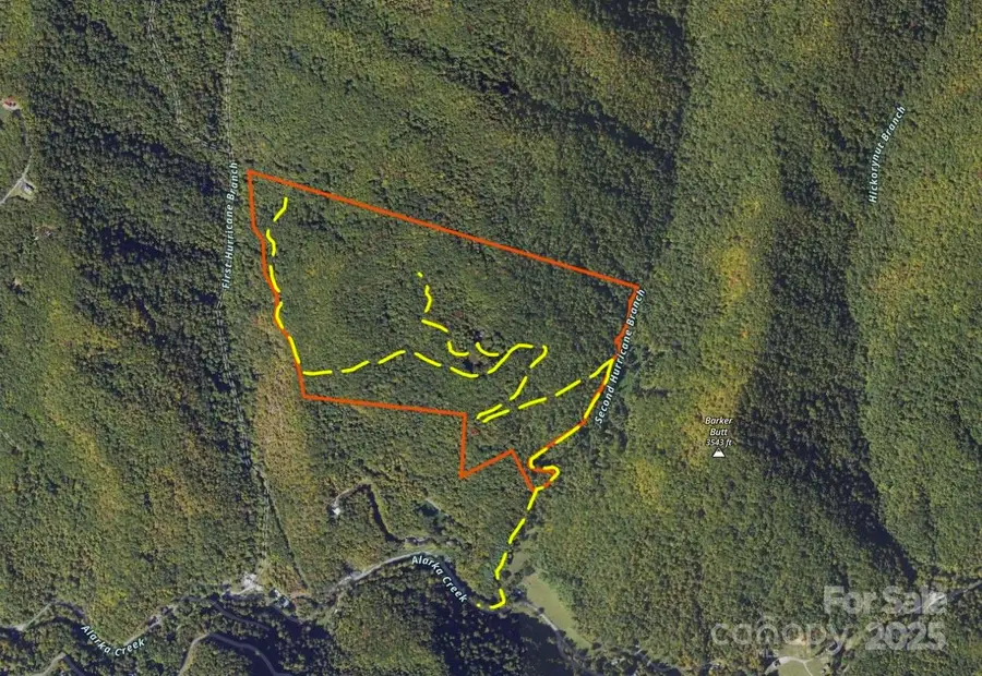 OFF Alarka Road, Bryson City, NC 28713 - Image #2
