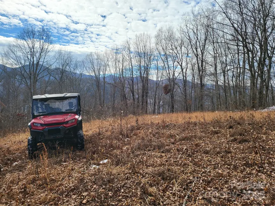 OFF Alarka Road, Bryson City, NC 28713 - Image #3