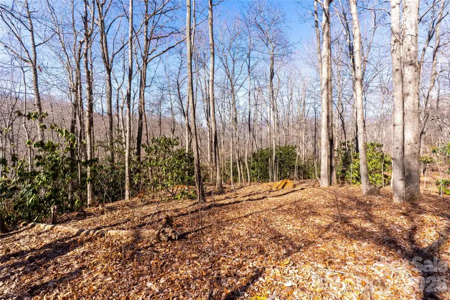 1248 Arborcrest Way #46, Swannanoa, NC 28778 - Image #2