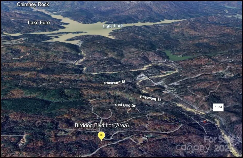0 Birddog Boulevard #328, Lake Lure, NC 28746 - Image #1