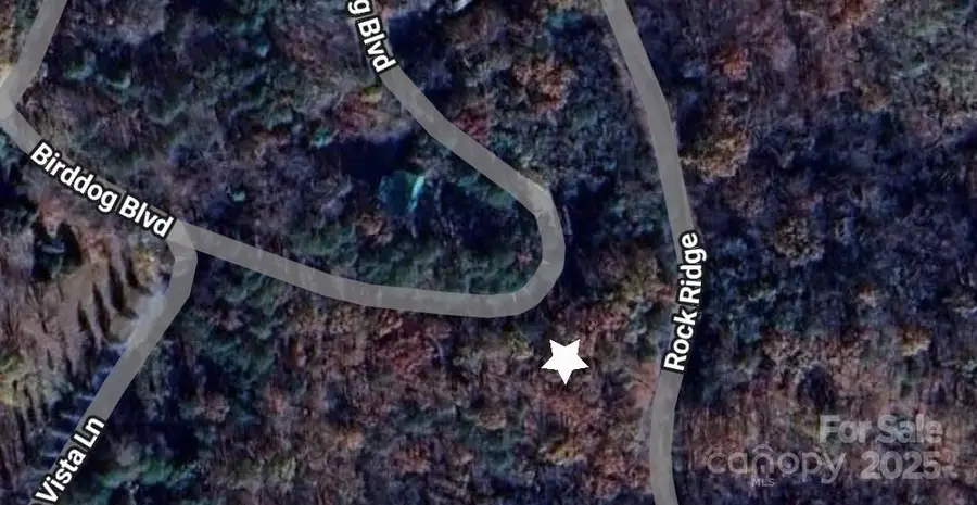 0 Birddog Boulevard #328, Lake Lure, NC 28746 - Image #2