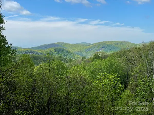 OFF Pine Mountain Drive, Brevard, NC 28712