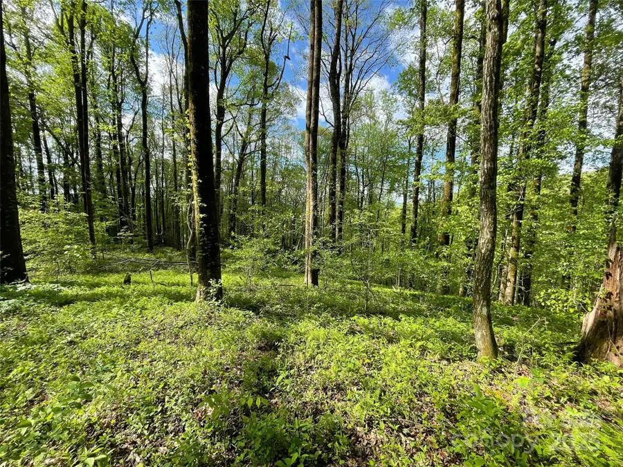 OFF Pine Mountain Drive, Brevard, NC 28712 - Image #3