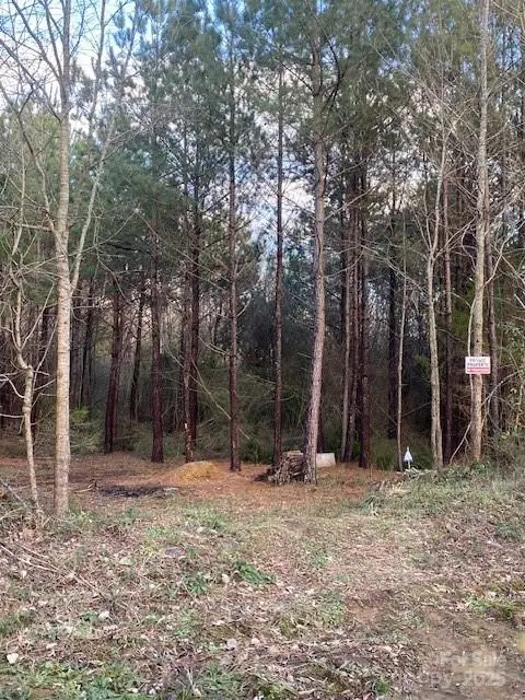 0 Dudley Church Road, Pageland, SC 29728 - Image #1