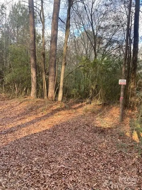 0 Dudley Church Road, Pageland, SC 29728 - Image #2