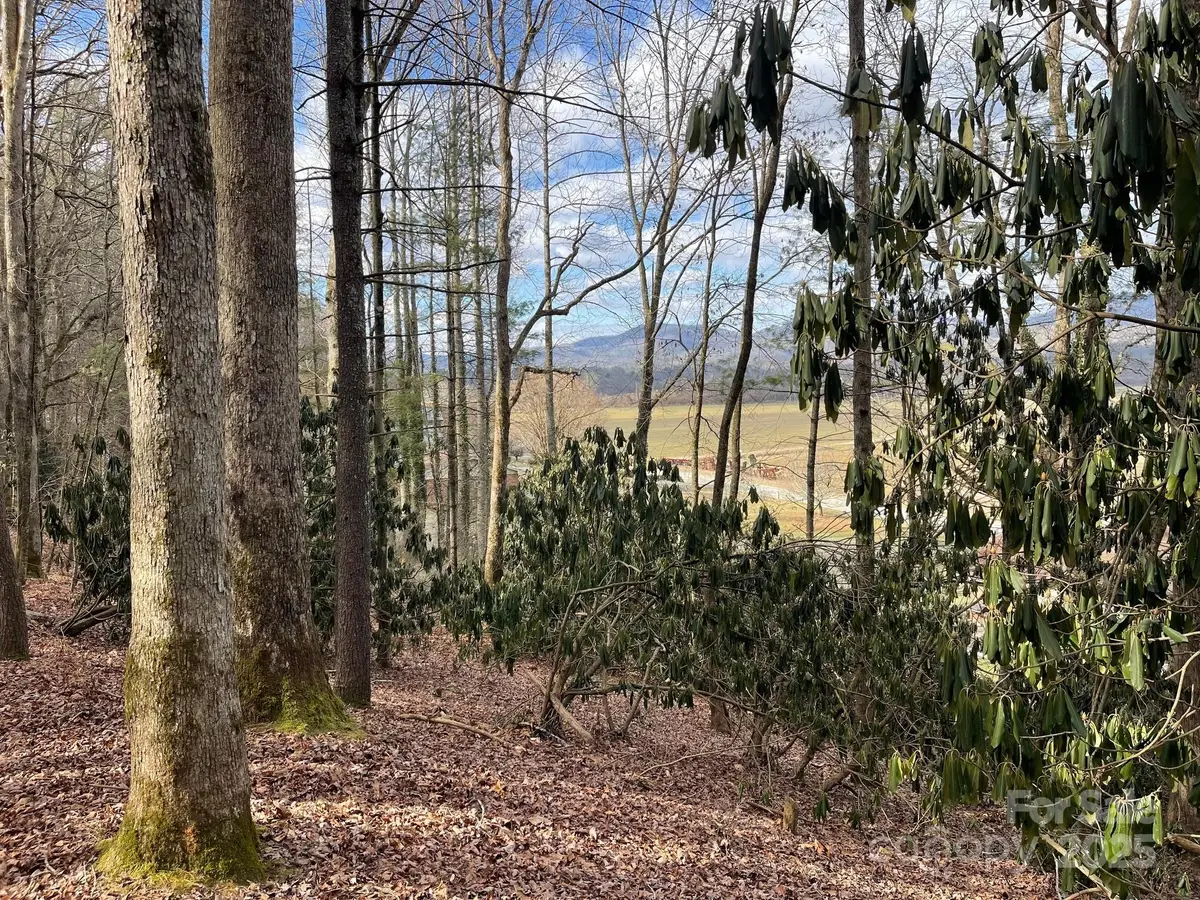 Lot 4-R Middlemount Road, Pisgah Forest, NC 28768 - Image #1