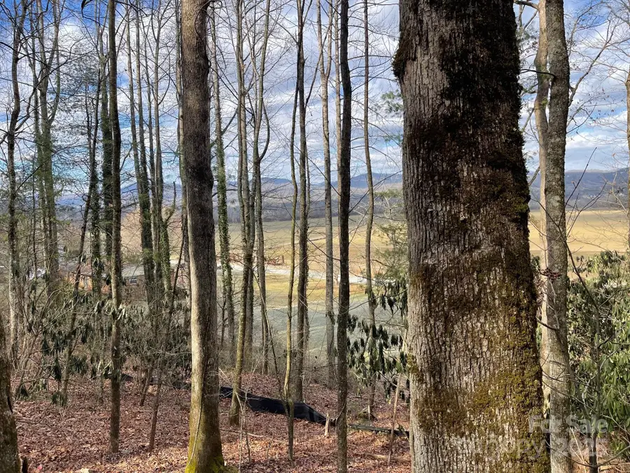 Lot 4-R Middlemount Road, Pisgah Forest, NC 28768 - Image #2