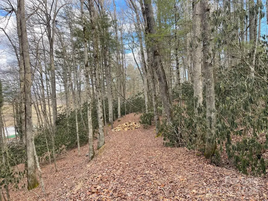 Lot 4-R Middlemount Road, Pisgah Forest, NC 28768 - Image #3