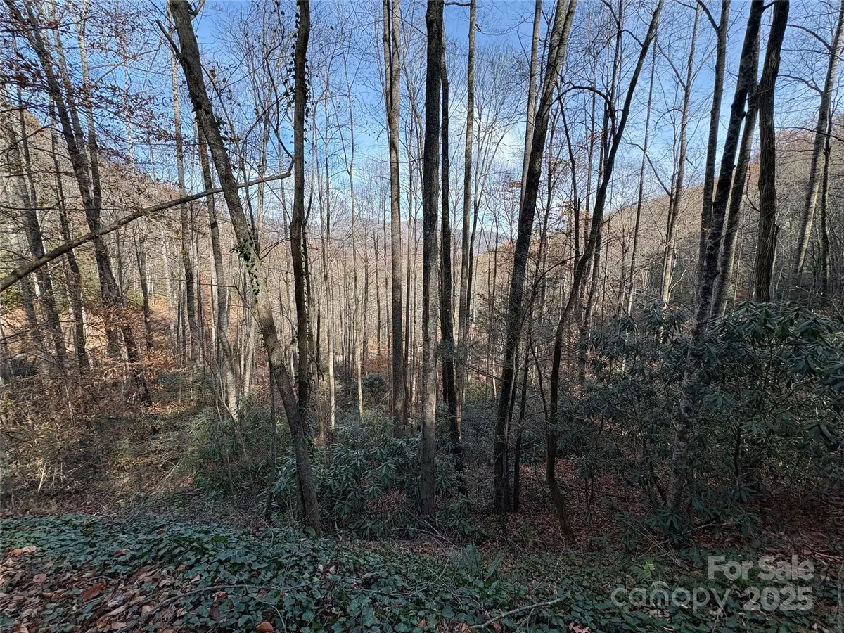 TR 6 Little Bit Trail, Whittier, NC 28789 - Image #1